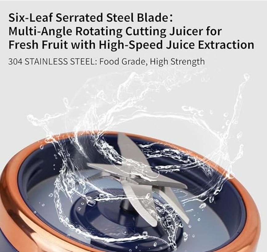 Multifunctional Small Portable Juicer - Vanshglobal